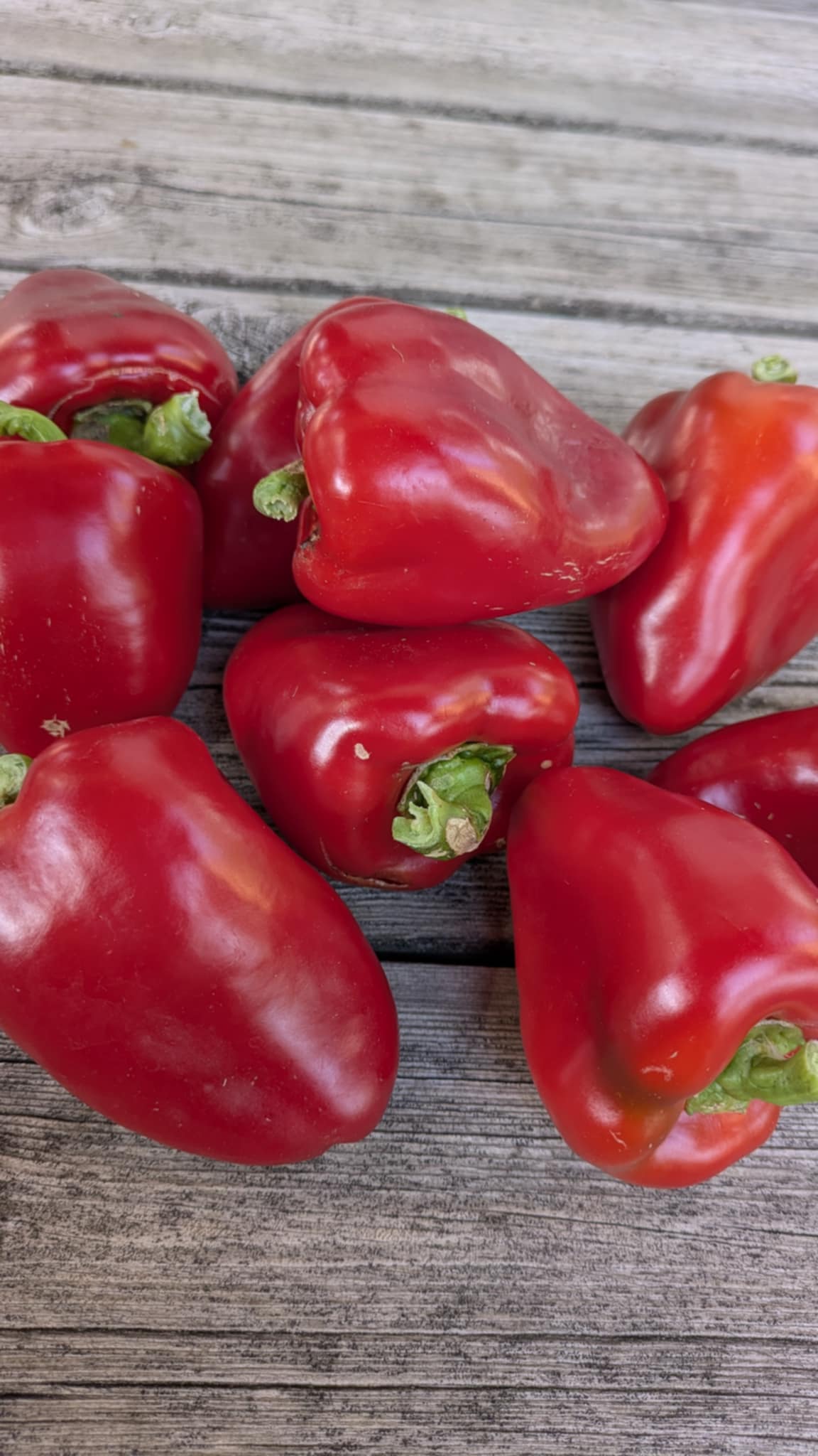Piquillo Lodosa Basque Pepper - Image 8