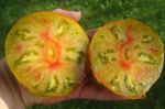 Bi-Color/Striped Tomatoes