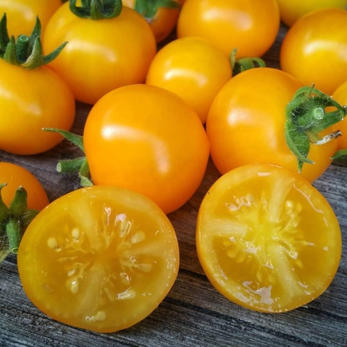 show original title 10 Details about   Tomato Aztek Tomato-Mini Tomato Seeds-Seeds-Dwarf Tomato