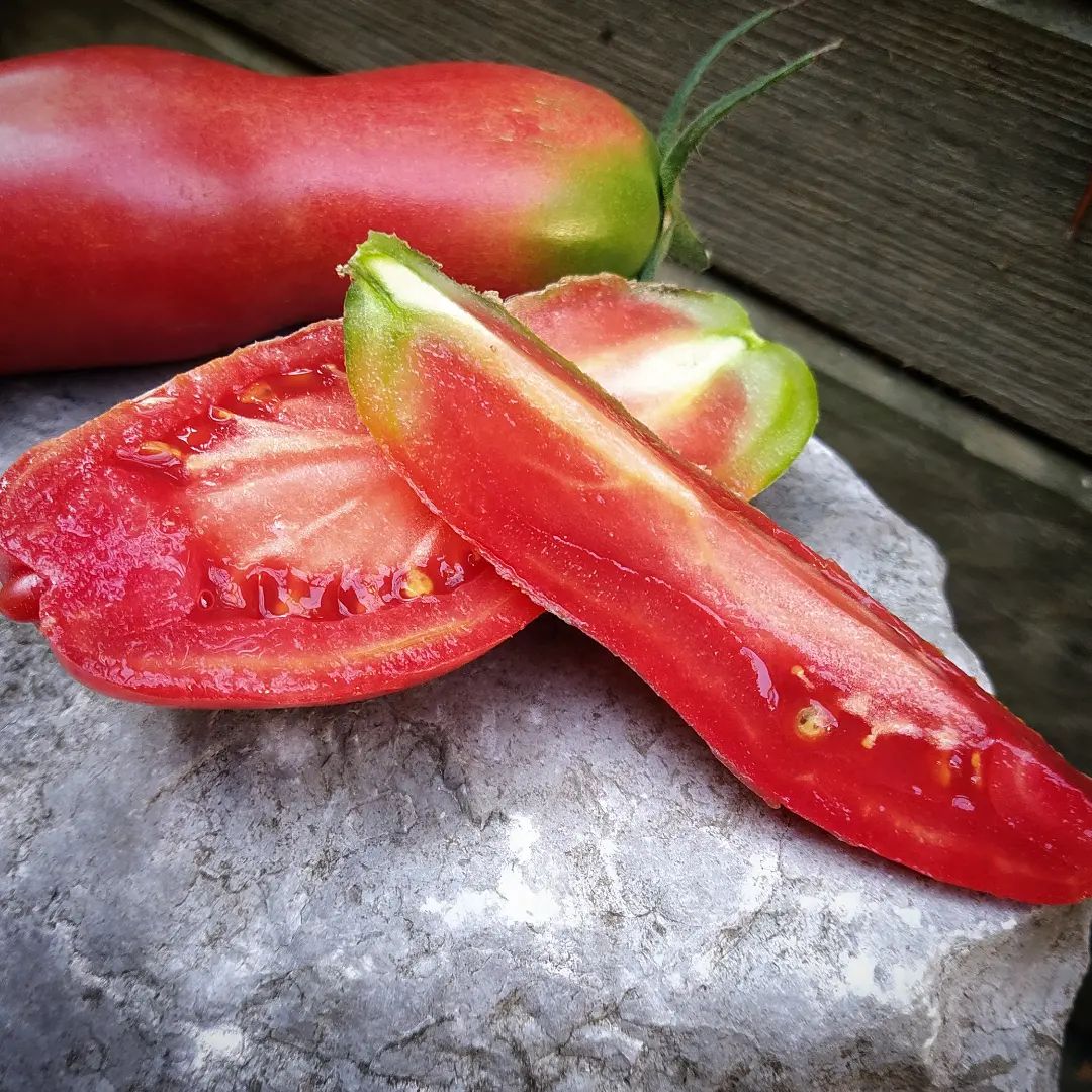 Pink Fang Tomato Seeds Baker Creek Heirloom Seeds, 47% OFF